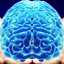 The Future of Brain Transplants