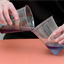 Extract Your Own DNA