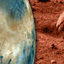 Is There Life on Mars?