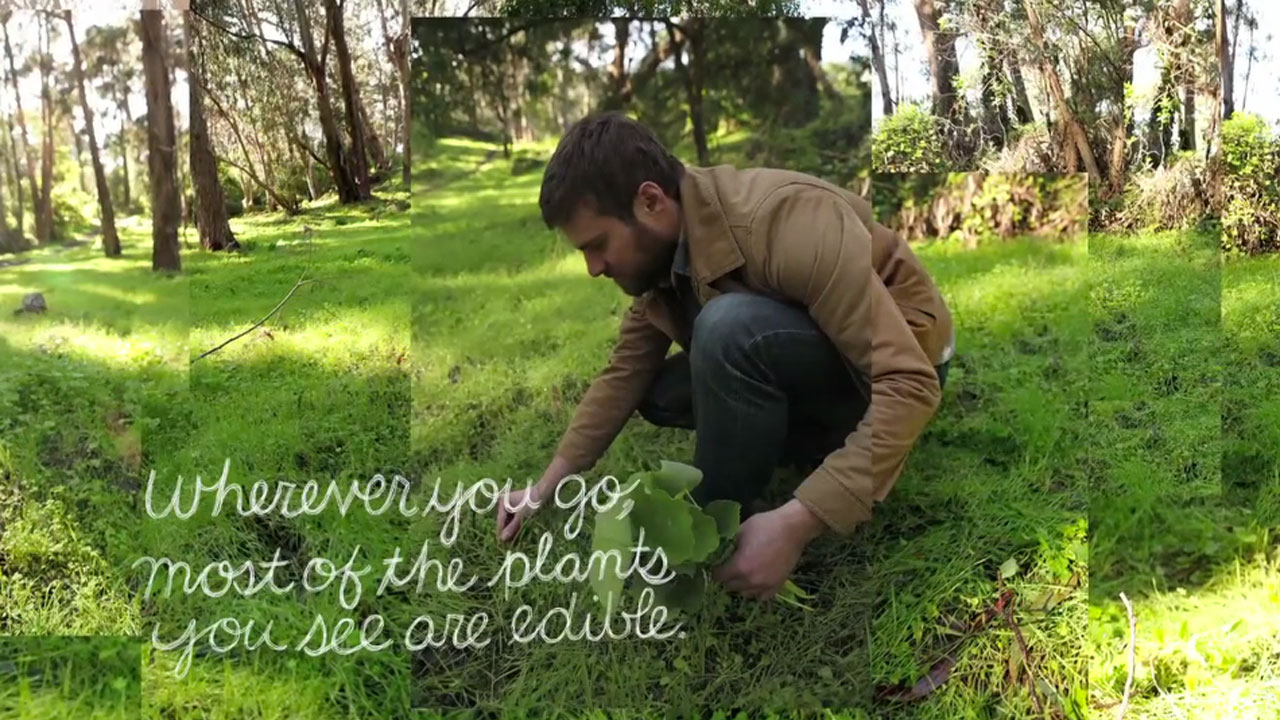 Learn More About the Film