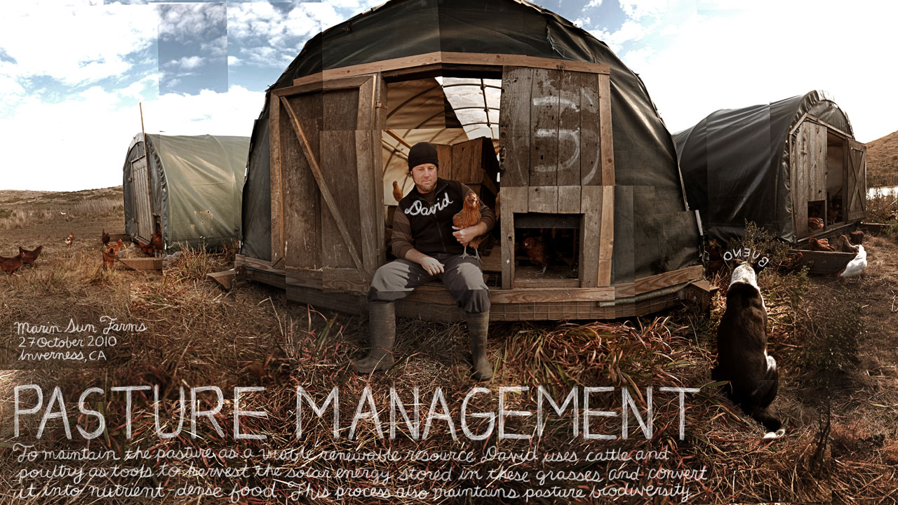 Learn More About the Film