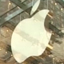 Nightly Business Report: Apple After Steve Jobs