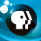 PBS Indies