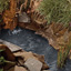 How to Create a Backyard Pond