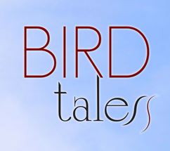 Bird Tales