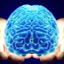 The Future of Brain Transplants