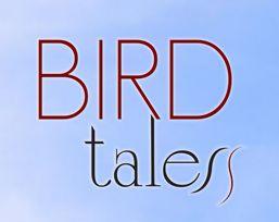 More Bird Tales Video