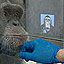 Spark Blog: Alan's "King Kong" Encounter