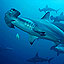 Shattering Shark Myths