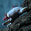 The Olm and Other Troglobites