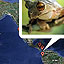 Interactive Map