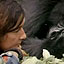 Dian Fossey and Her Research