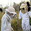 Hawaii's Vulnerable Biodiversity