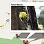 Interactive Map