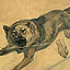 Seton's Photos and Artwork