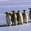 Antarctic Research