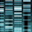 Cracking Your Genetic Code