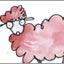What's With Sheep?