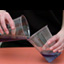 Extract Your Own DNA