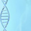 Four DNA Tests