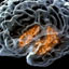How Memory Works