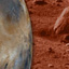 Is There Life on Mars?