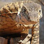 Lizard Kings
