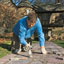 How to Repair Stone Walkway Mortar