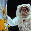 Saving Hubble