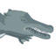 Fossil Evidence