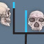 Who's Who in Human Evolution