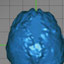 Compare the Brains