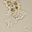 Revealing the Origins of Life