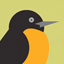 Watch "Our Birds: An In Wisconsin Special"