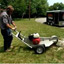 How to Remove a Tree Stump