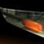 Secrets of the Samurai Sword