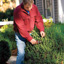 Shrub Pruning Dos and Don'ts