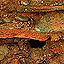 Using Sediment Layers to Solve Riddles