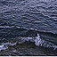 Terrible Tsunamis In Our Path