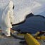 BP's Troubled Past