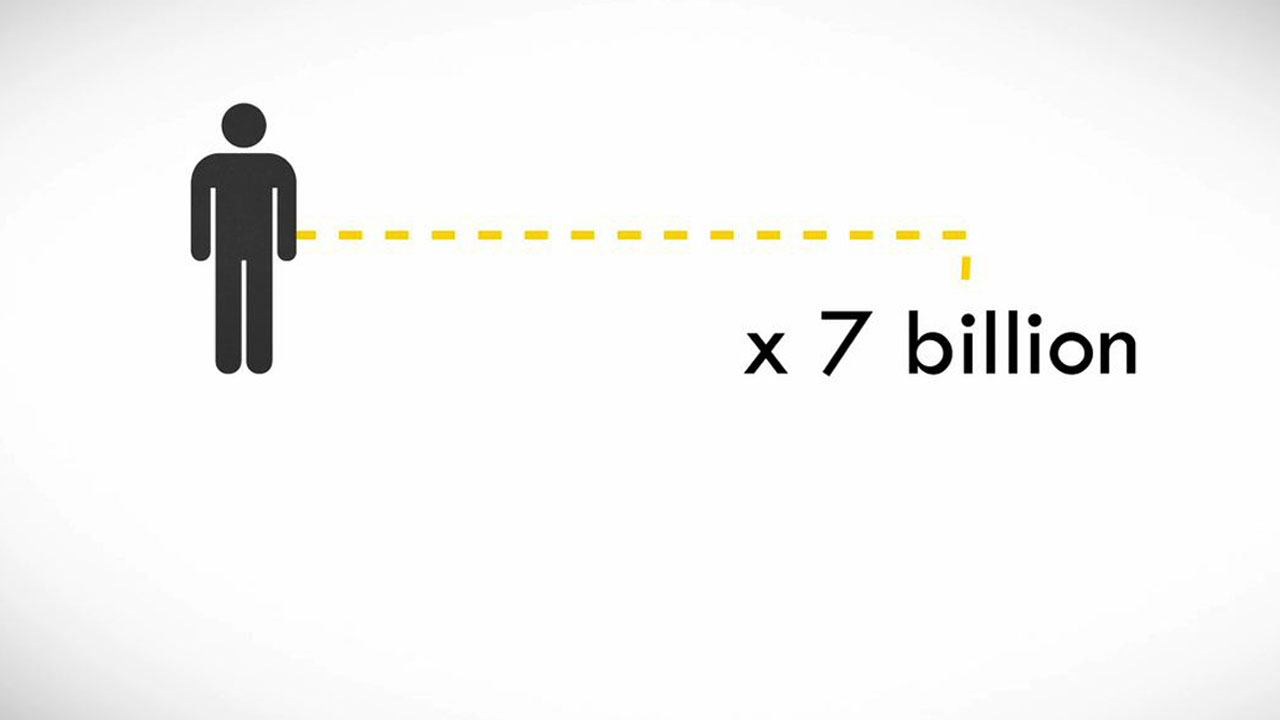 Life by the Numbers
