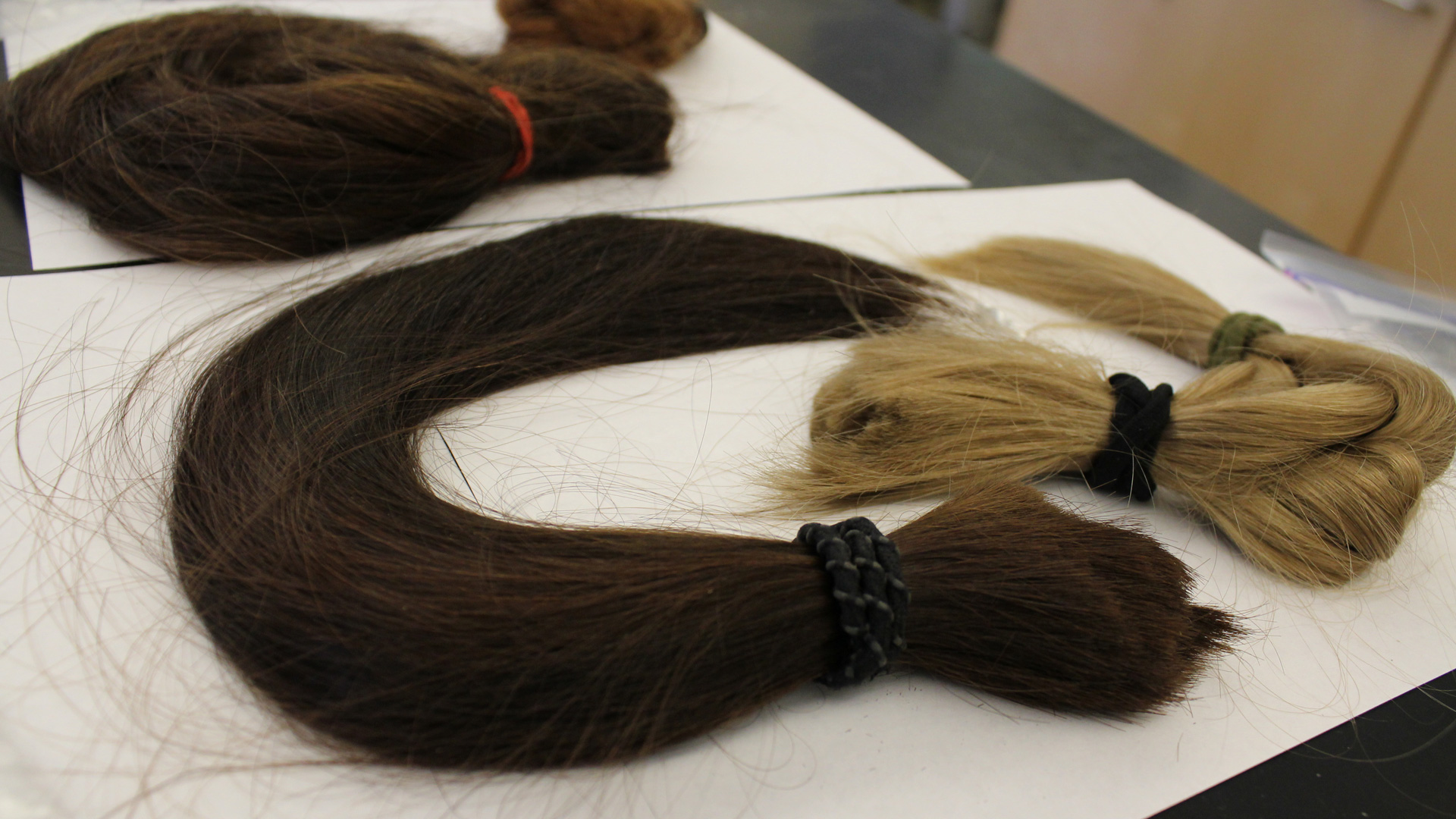 Strands of Evidence