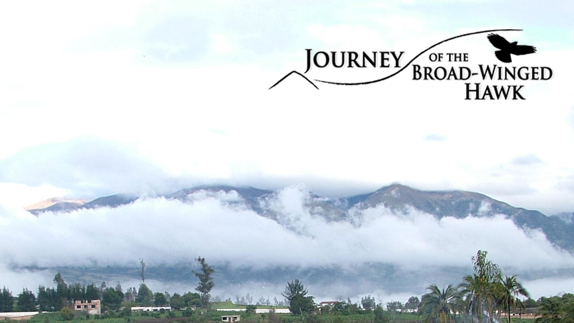 Journey of the Broad-Winged Hawk