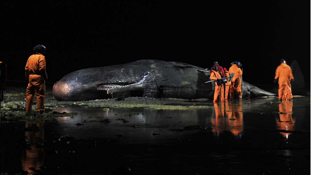 Sperm Whale