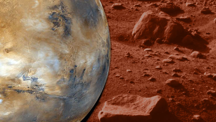 Is There Life on Mars?