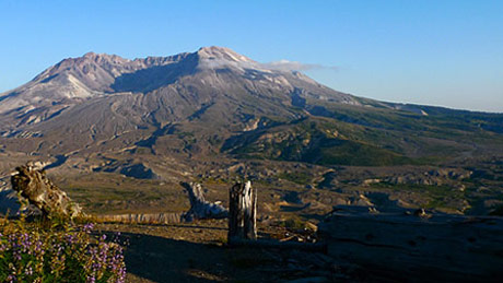 Mt St Helens: Back From the Dead
