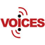 About Youth Voices