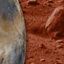 Is There Life on Mars?