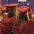 ViewFinder - American Graduate