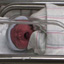 American Midwives